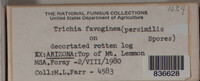 Image Associated With the Occurence